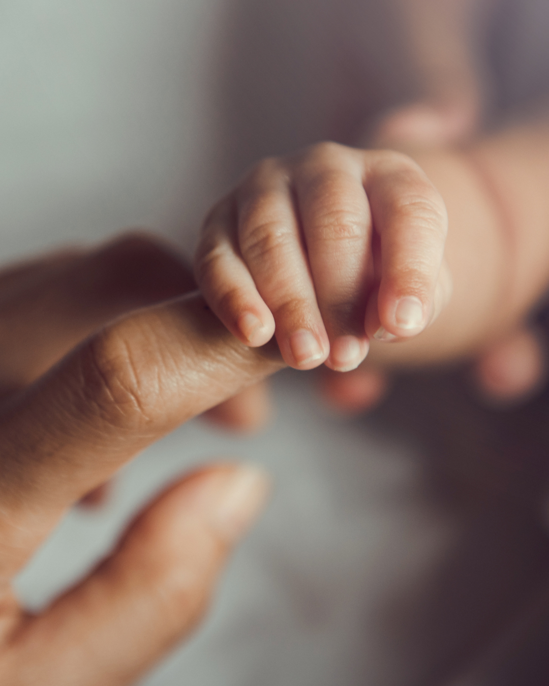 a newborn baby's hand holding a new parent's finger
