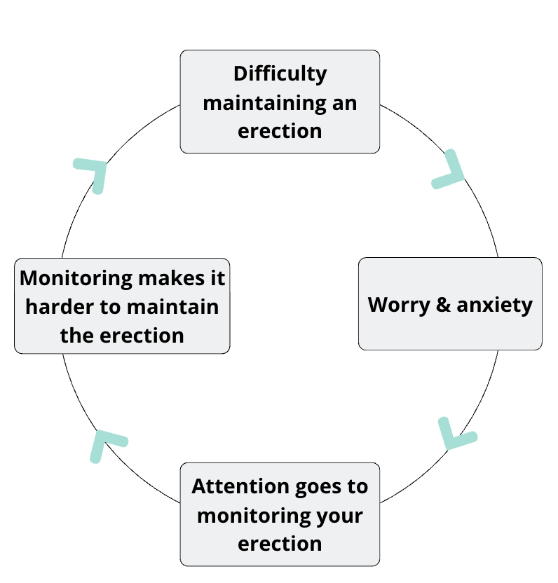 a graphic of a cycle outlining the components of an anxiety loop surrounding ED